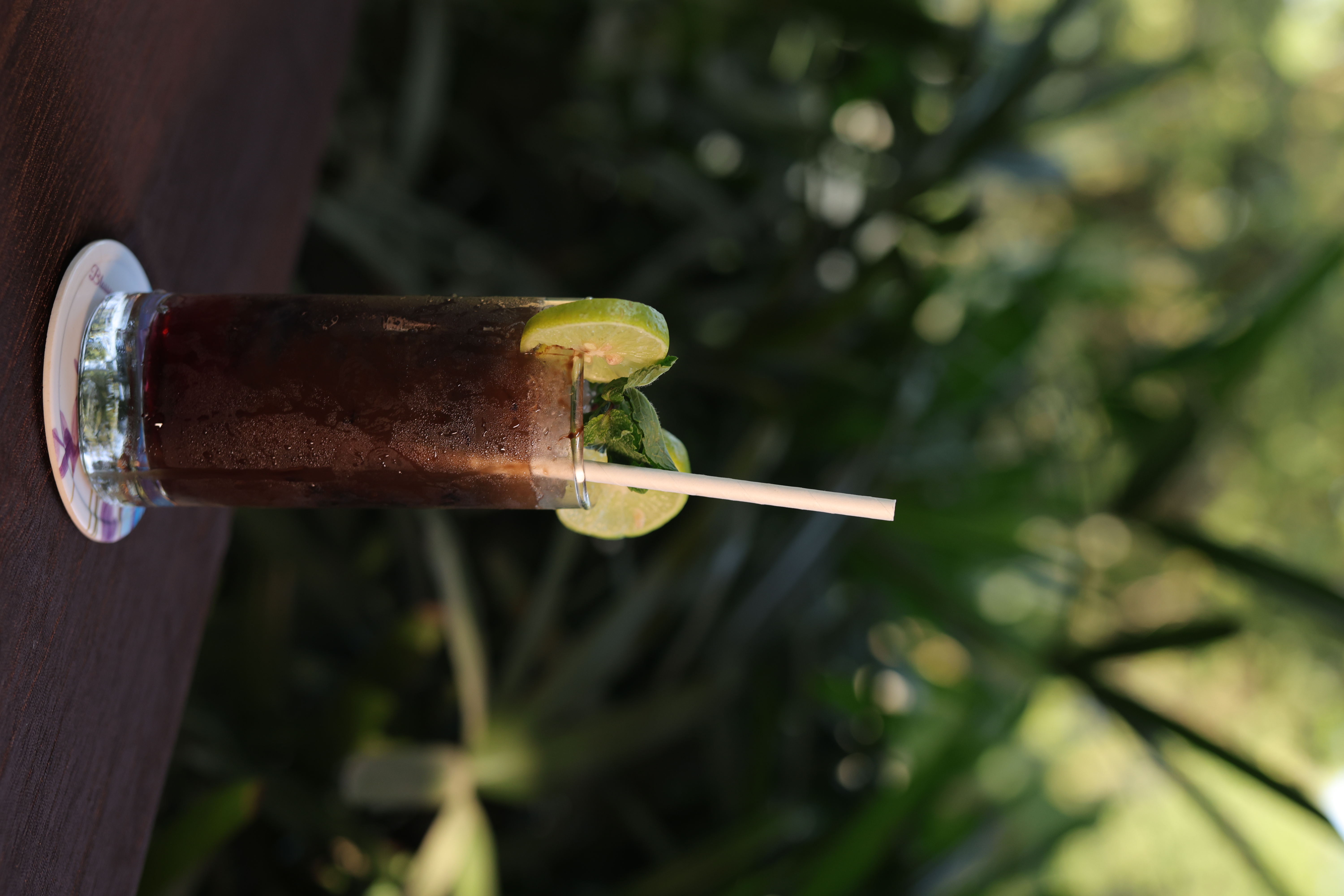 Refreshing mocktail with lime and mint in outdoor setting at Jatra Countryside